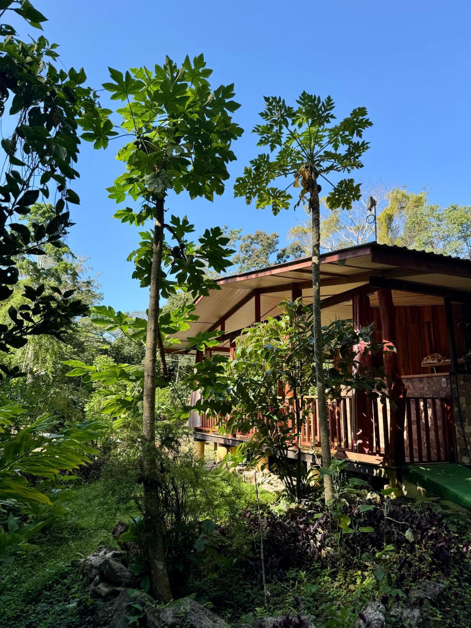 Hotel Brigitte'S Ranch Cahuita Exterior foto